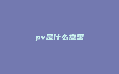 pv是什么意思